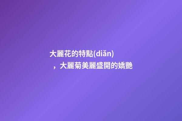 大麗花的特點(diǎn)，大麗菊美麗盛開的嬌艷